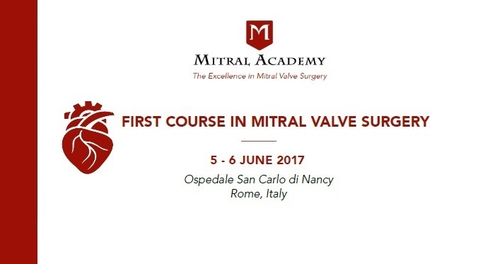 First course in mitral valve surgery 